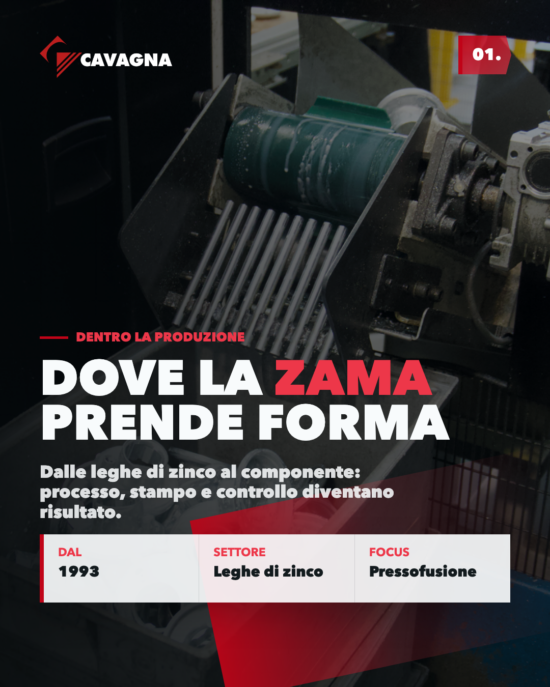 GESTIONE ONLINE & INSTAGRAM — Cavagna